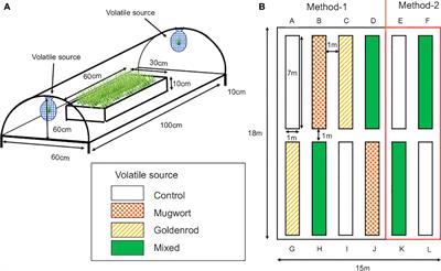 The exposure of field-grown maize seedlings to weed volatiles affects their growth and seed quality